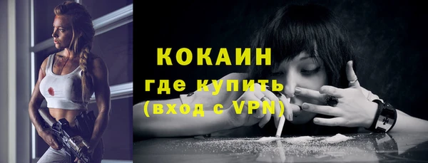 spice Карпинск