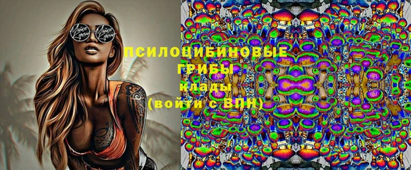 spice Карпинск