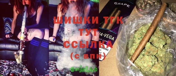 spice Карпинск