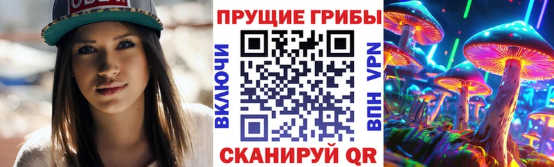 KRAKEN зеркало Дегтярск Псилоцибиновые грибы Magic Shrooms